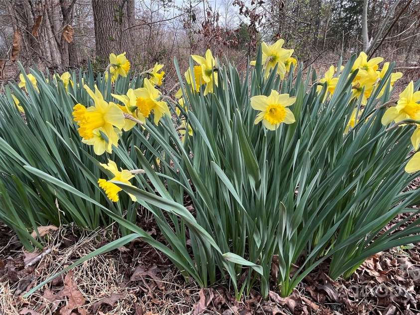 350 Brawley Road, Cleveland, NC 27013.  MLS# CAR4233746, YatesRealty ID 4160. 