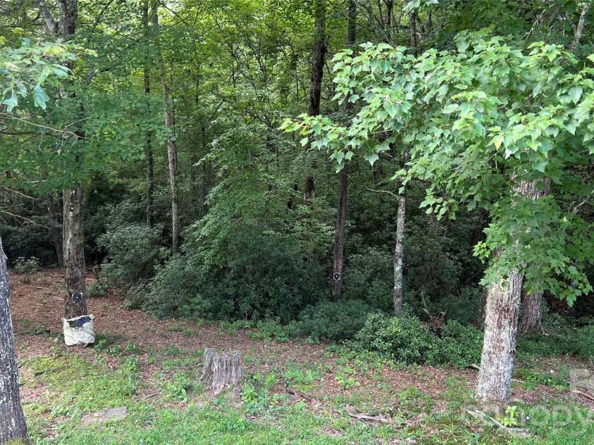 236 Forest Lane, Murphy, NC 28906.  MLS# CAR4402245, YatesRealty ID 41632. 