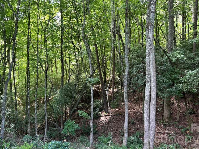 236 Forest Lane, Murphy, NC 28906.  MLS# CAR4402245, YatesRealty ID 41632. 