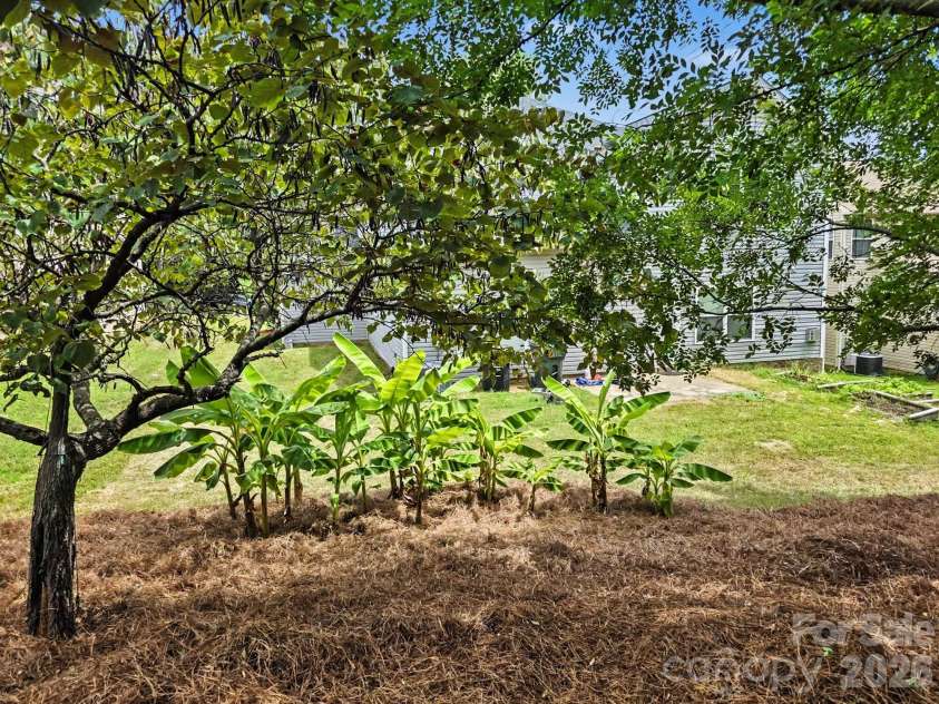 9835 Shearwater Avenue, Concord, NC 28027.  MLS# CAR4411928, YatesRealty ID 41738. 