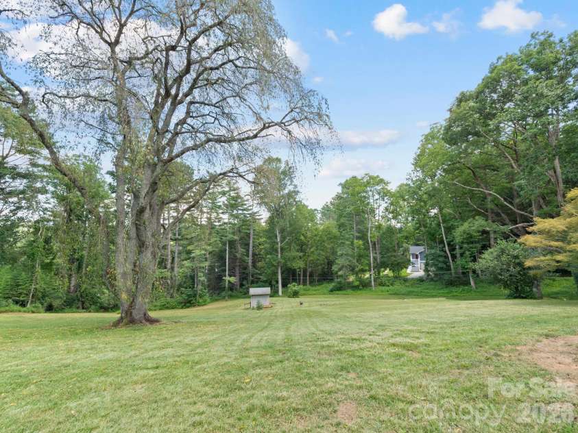 242 Hills Drive, Hendersonville, NC 28791.  MLS# CAR4410562, YatesRealty ID 41745. Beautiful cherry tree