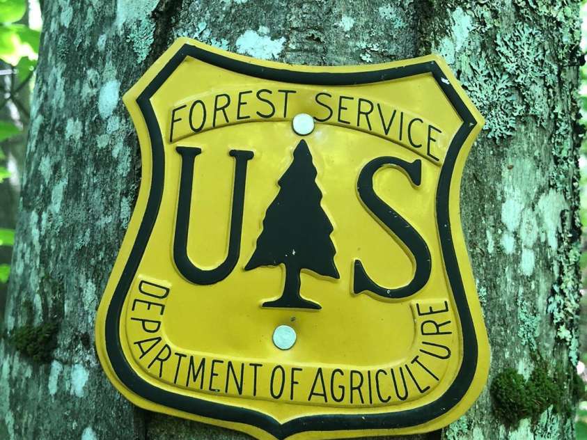 3076 Anderson Cove Road, Marshall, NC 28753.  MLS# CAR4212161, YatesRealty ID 418. Adjoins National Forest