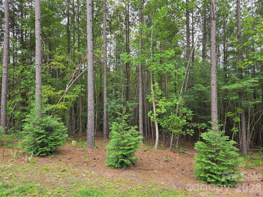 2910 Nc Highway 109 Highway, Troy, NC 27371.  MLS# CAR4409845, YatesRealty ID 41823. 