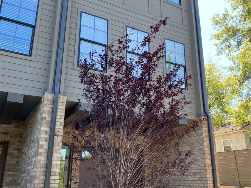 1516 Harrill Street, Charlotte, NC 28205.  MLS# CAR4311755, YatesRealty ID 4194. 