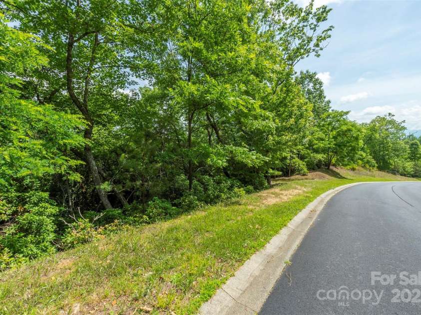 99999 Blue Mountain Way, Horse Shoe, NC 28742.  MLS# CAR4214407, YatesRealty ID 4204. Lot 113