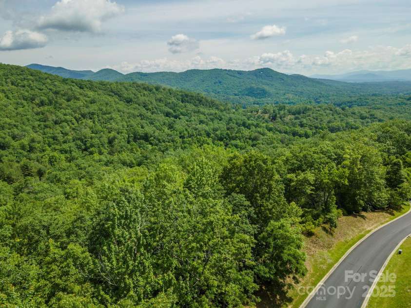 99999 Blue Mountain Way, Horse Shoe, NC 28742.  MLS# CAR4214407, YatesRealty ID 4204. Lot 113