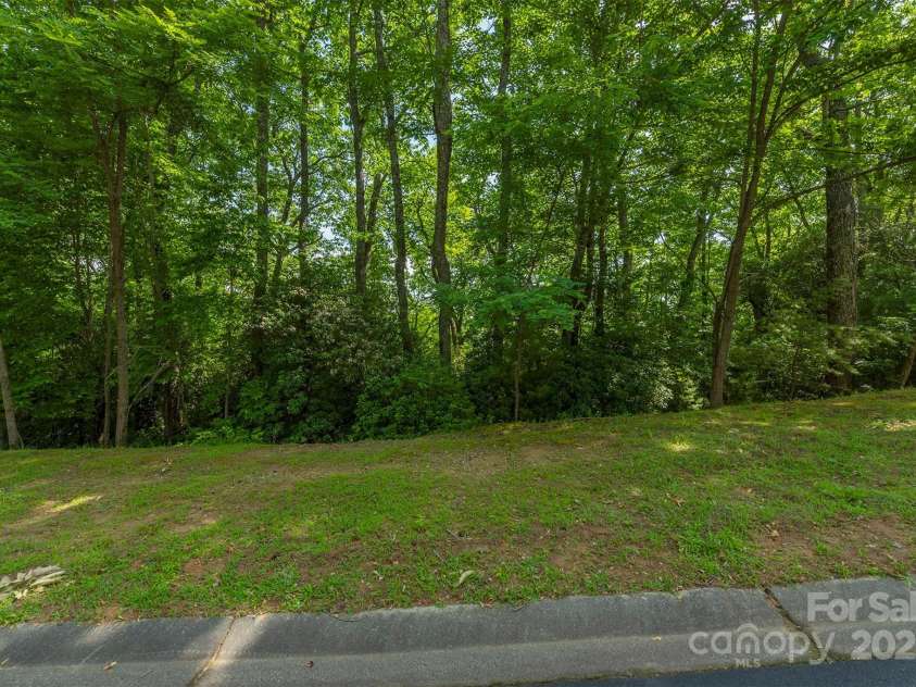 1166 Mills River Way, Horse Shoe, NC 28742.  MLS# CAR4214431, YatesRealty ID 4205. Lot 73
