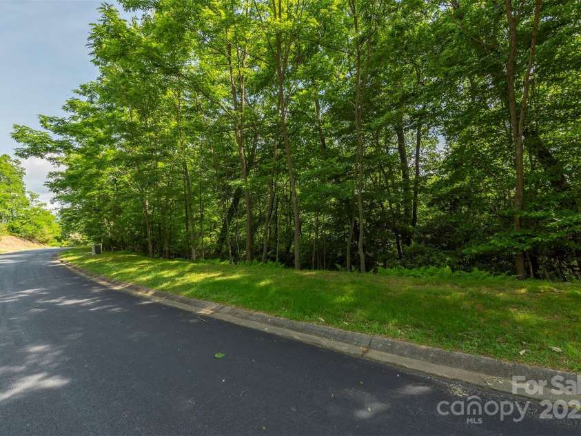 1166 Mills River Way, Horse Shoe, NC 28742.  MLS# CAR4214431, YatesRealty ID 4205. Lot 73