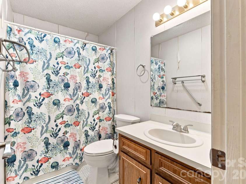 213 Hamilton Road, Troutman, NC 28166.  MLS# CAR4405468, YatesRealty ID 42054. Guest bath with hand bars