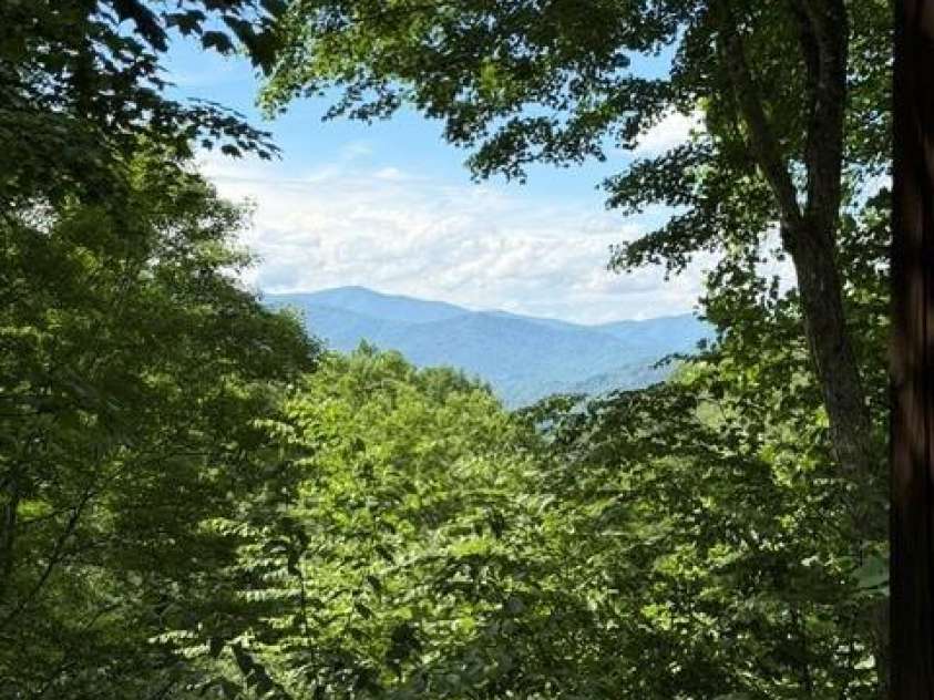 140 Falls Crossing Road, Burnsville, NC 28714.  MLS# CAR4393426, YatesRealty ID 42055. MOUNTAIN VIEWS-VIEW CORRIDOR CAN BE OPENED!