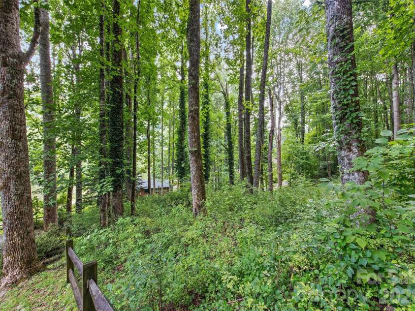 294 Laurel Branch Road, Maggie Valley, NC 28751.  MLS# CAR4411437, YatesRealty ID 42056. Wooded property for additional privacy