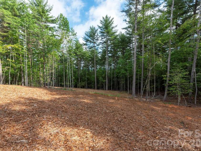1156 Campbells Trace, Nebo, NC 28761.  MLS# CAR4411887, YatesRealty ID 42146. 