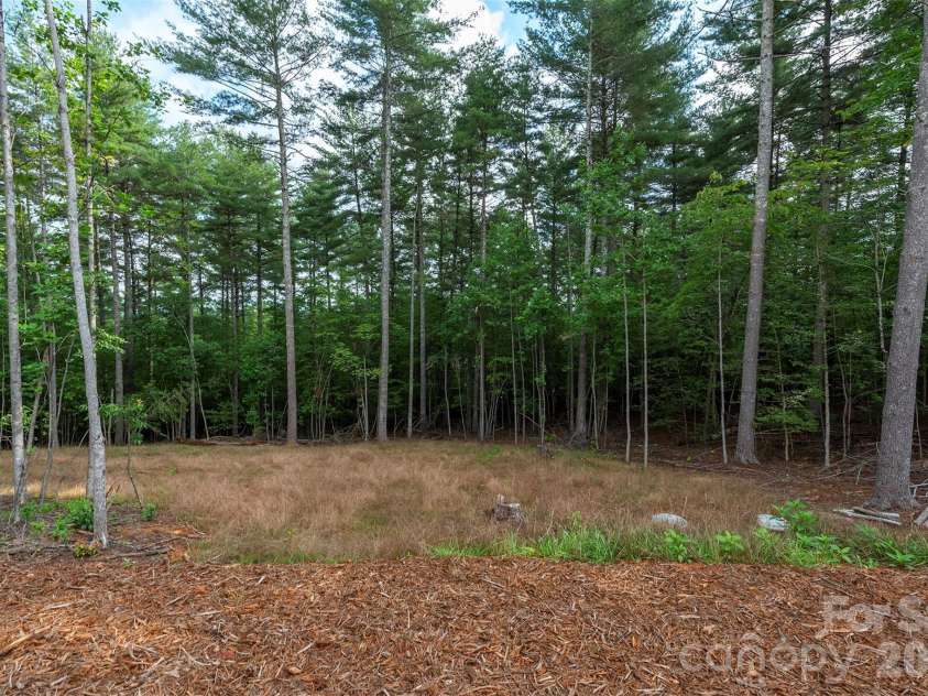 1156 Campbells Trace, Nebo, NC 28761.  MLS# CAR4411887, YatesRealty ID 42146. 