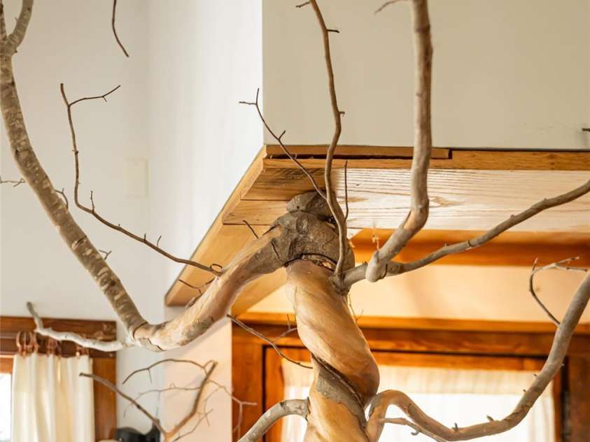 58 Mildred Avenue, Asheville, NC 28806.  MLS# CAR4211193, YatesRealty ID 4217. 