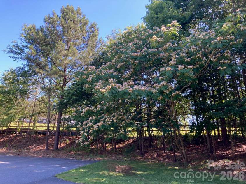 1095 Prince Road, Landrum, SC 29356.  MLS# CAR4405538, YatesRealty ID 42187. 