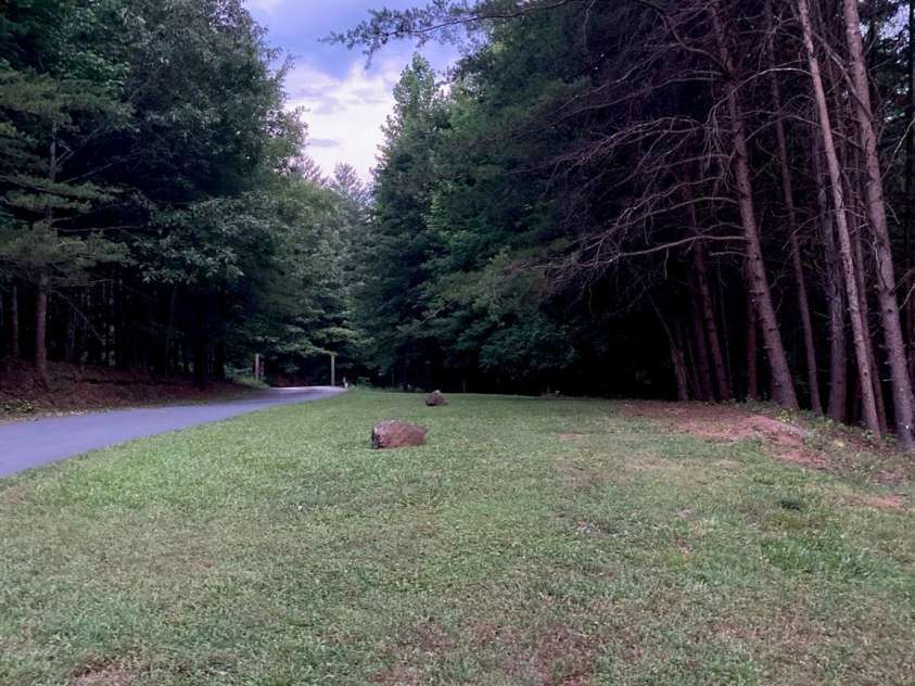 1095 Prince Road, Landrum, SC 29356.  MLS# CAR4405538, YatesRealty ID 42187. 