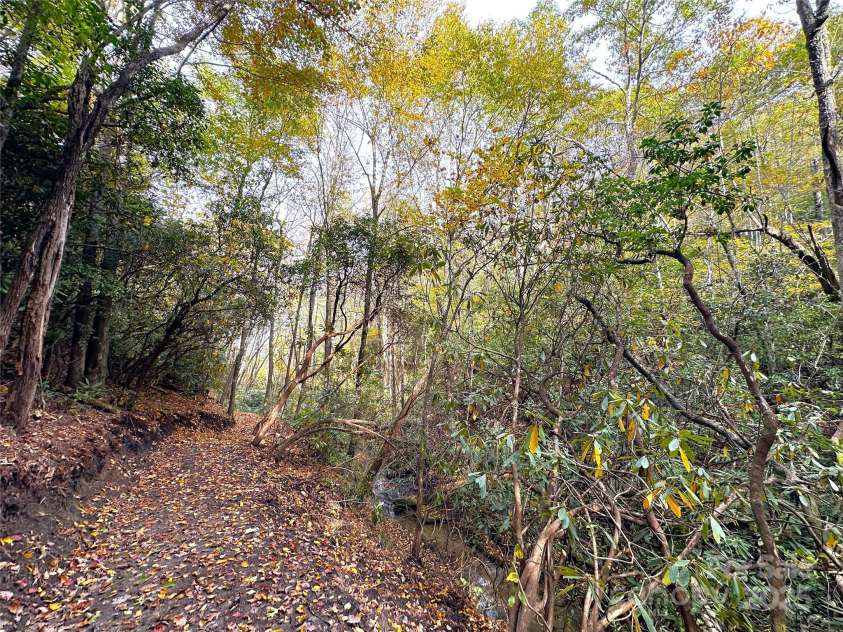 243 Ridgeline Drive, Brevard, NC 28712.  MLS# CAR4313542, YatesRealty ID 4227. Trails