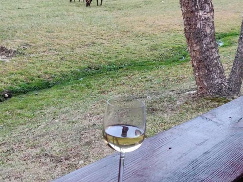 54 Meandering Way, Maggie Valley, NC 28751.  MLS# CAR4336056, YatesRealty ID 4229. 