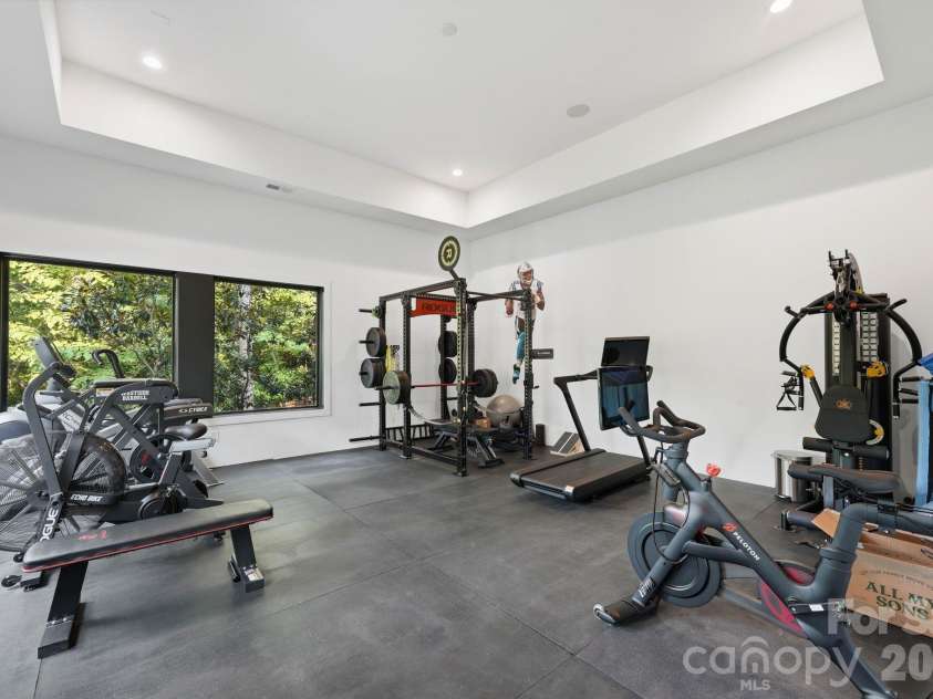 13702 Sage Thrasher Lane, Charlotte, NC 28278.  MLS# CAR4405841, YatesRealty ID 42347. How is this for a personal gym?