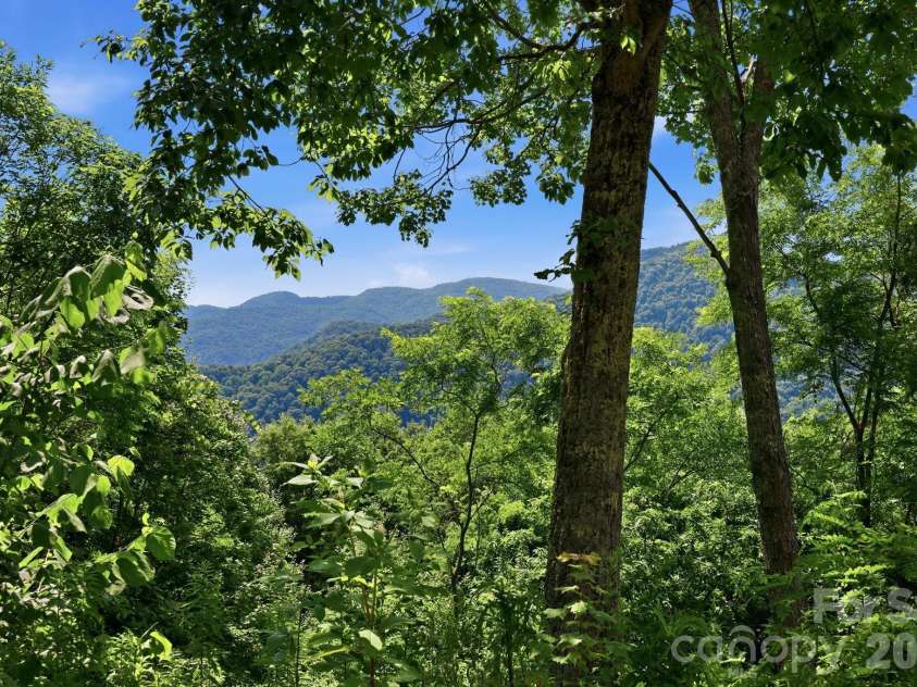 5 Lila Lane, Clyde, NC 28721.  MLS# CAR4349173, YatesRealty ID 4237. 