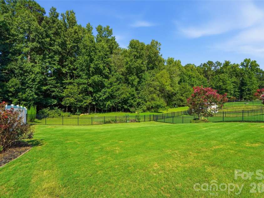 10690 Sapphire Trail, Davidson, NC 28036.  MLS# CAR4410627, YatesRealty ID 42436. Expansive Yard