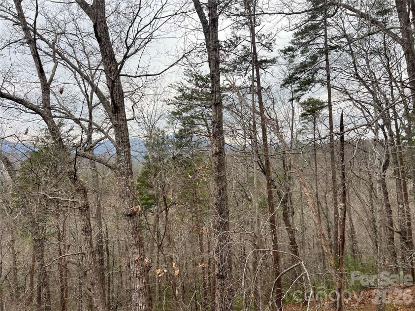 132 Egret Road, Lake Lure, NC 28746.  MLS# CAR4254580, YatesRealty ID 4259. 