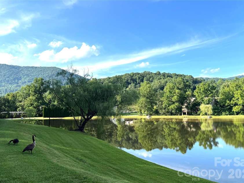 8 Lakeview Drive, Fairview, NC 28730.  MLS# CAR4409978, YatesRealty ID 42754. 