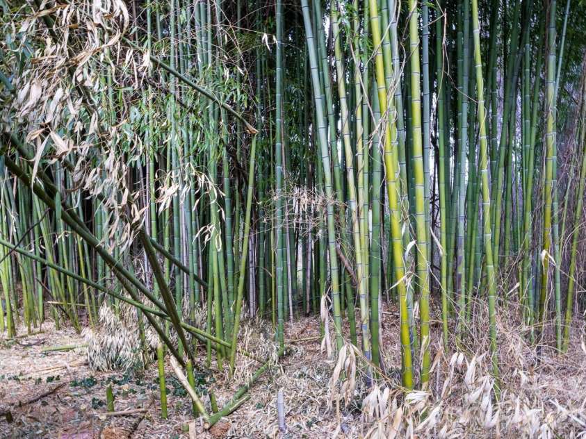 78 and 80 Taylor Street, Woodfin, NC 28804.  MLS# CAR4336751, YatesRealty ID 4276. 