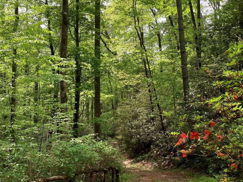 64 Hidden Springs Way, Highlands, NC 28741.  MLS# CAR4211056, YatesRealty ID 428. 