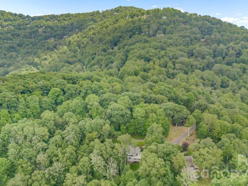 38 Bee Tree Lane, Mars Hill, NC 28754.  MLS# CAR4403271, YatesRealty ID 42812. Lush