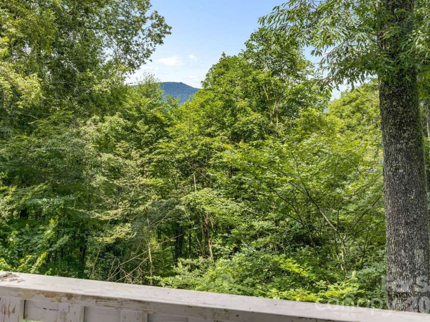 38 Bee Tree Lane, Mars Hill, NC 28754.  MLS# CAR4403271, YatesRealty ID 42812. Views and Trees