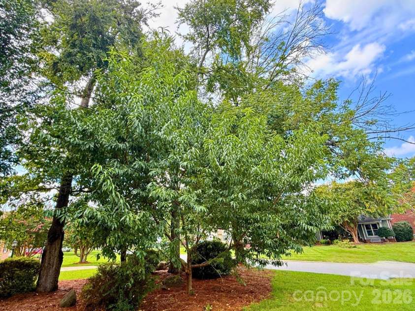 8601 Middleton Circle, Harrisburg, NC 28075.  MLS# CAR4407801, YatesRealty ID 42836. Your very own PEACH tree in your front yard!!