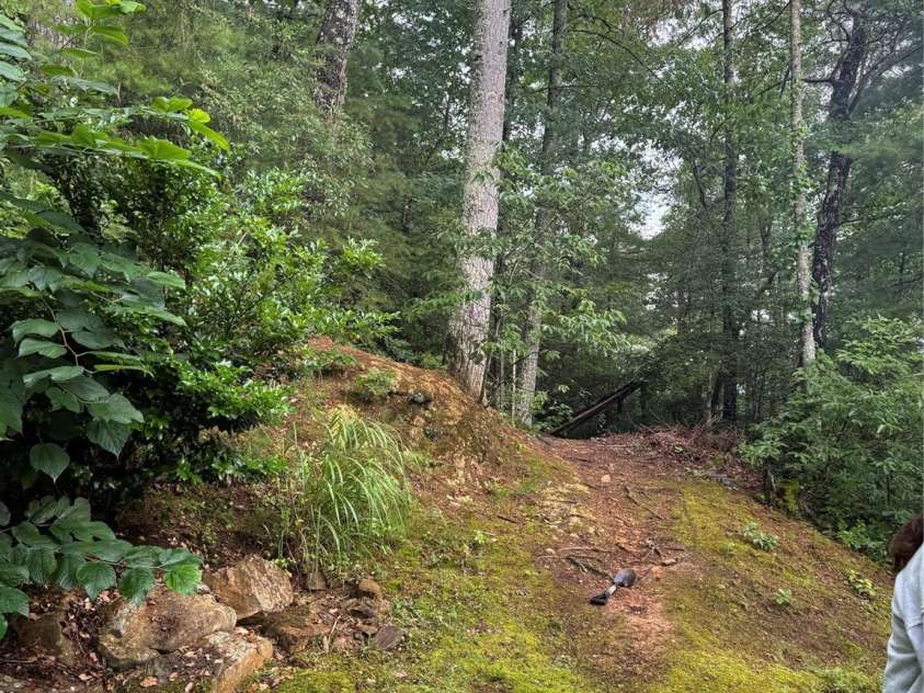 1886 Old Linville Road, Marion, NC 28752.  MLS# CAR4410849, YatesRealty ID 42909. Outdoors
