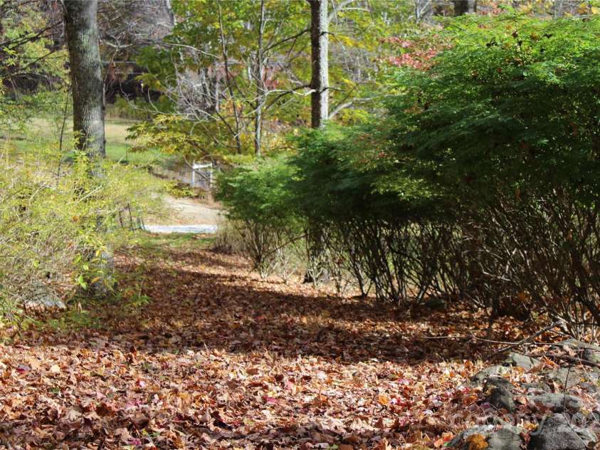 1571 Roaring Fork Road, Burnsville, NC 28714.  MLS# CAR4309867, YatesRealty ID 4293. Driveway from porch