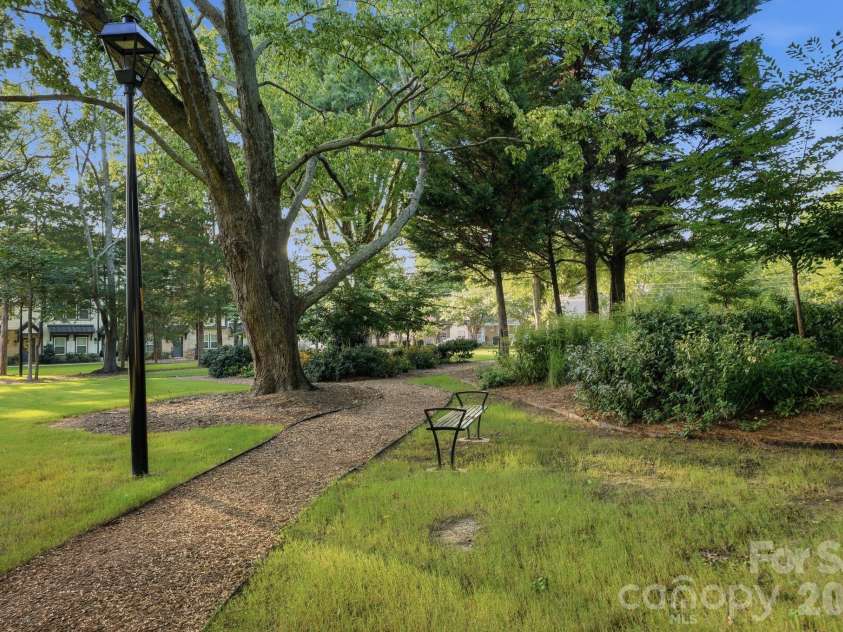 215 Tamala Street, Davidson, NC 28036.  MLS# CAR4409958, YatesRealty ID 42941. 