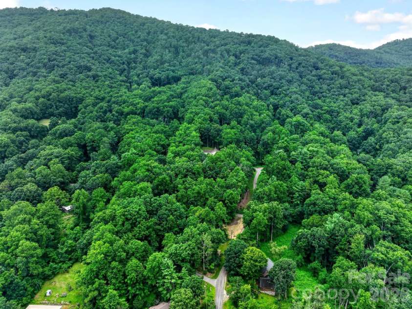 12 Beech Tree Lane, Asheville, NC 28804.  MLS# CAR4406184, YatesRealty ID 42943. 