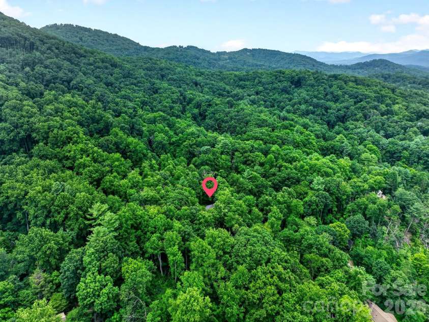 12 Beech Tree Lane, Asheville, NC 28804.  MLS# CAR4406184, YatesRealty ID 42943. 