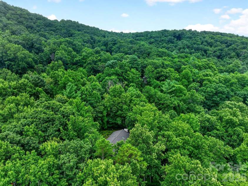 12 Beech Tree Lane, Asheville, NC 28804.  MLS# CAR4406184, YatesRealty ID 42943. 