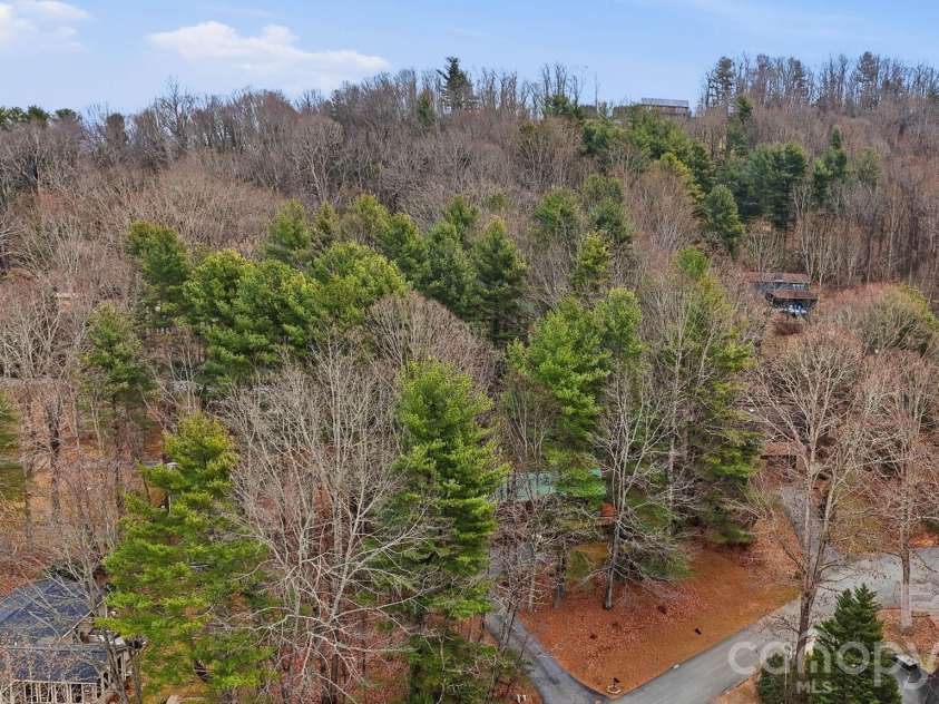 205 Mint Way, Flat Rock, NC 28731.  MLS# CAR4351896, YatesRealty ID 4296. 