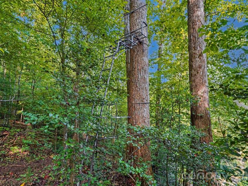 1206 Alberto Lane, Stanley, NC 28164.  MLS# CAR4411252, YatesRealty ID 43132. 