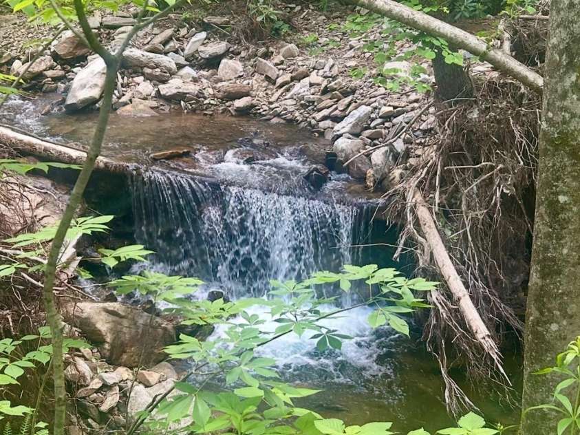 11820 State Highway 197 None, Burnsville, NC 28714.  MLS# CAR4361190, YatesRealty ID 43270. Bold creek borders property