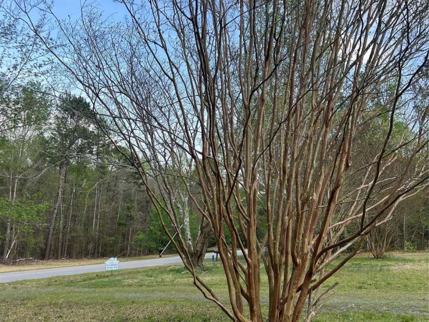 8502 Simpson Road, Waxhaw, NC 28173.  MLS# CAR4239481, YatesRealty ID 4329. 