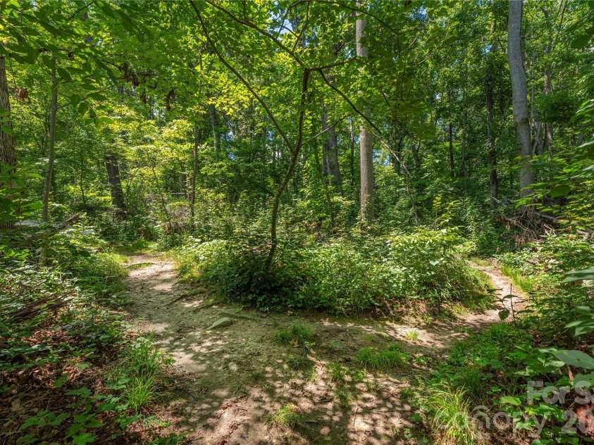 38 Forest View Drive, Asheville, NC 28804.  MLS# CAR4408592, YatesRealty ID 43321. 