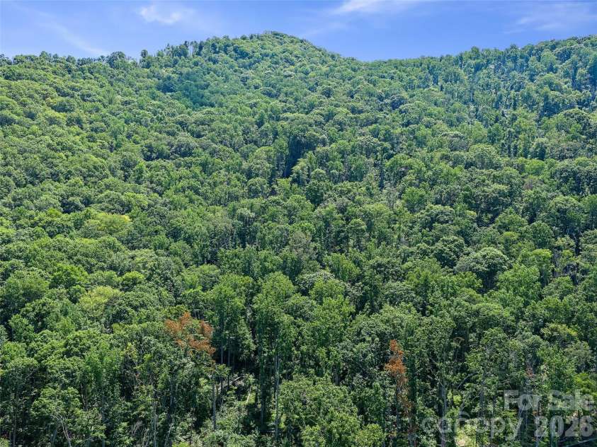 270 Dana Road, Green Mountain, NC 28740.  MLS# CAR4413619, YatesRealty ID 43396. 