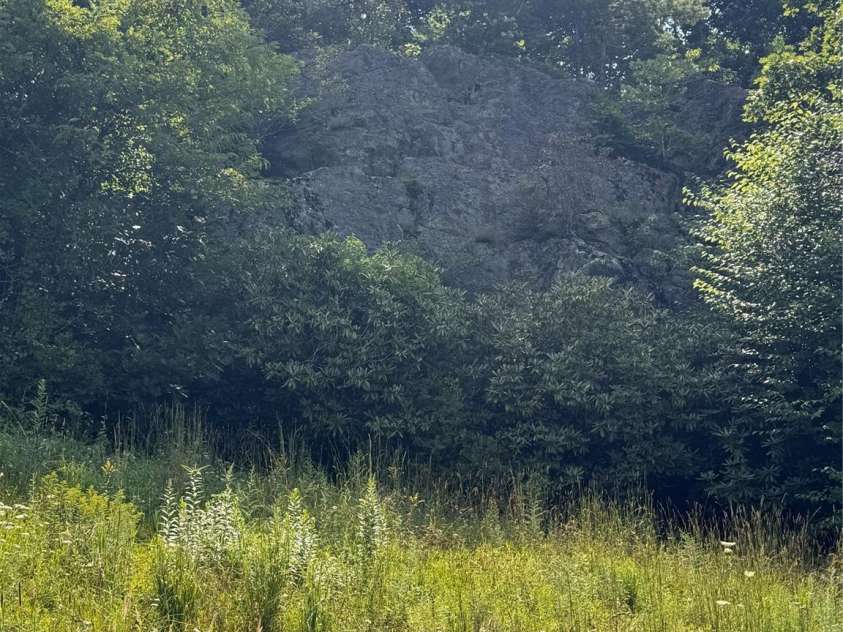 189 Old NC 181 Highway, Newland, NC 28657.  MLS# CAR4413944, YatesRealty ID 43698. Rock Outcropping in Back Yard