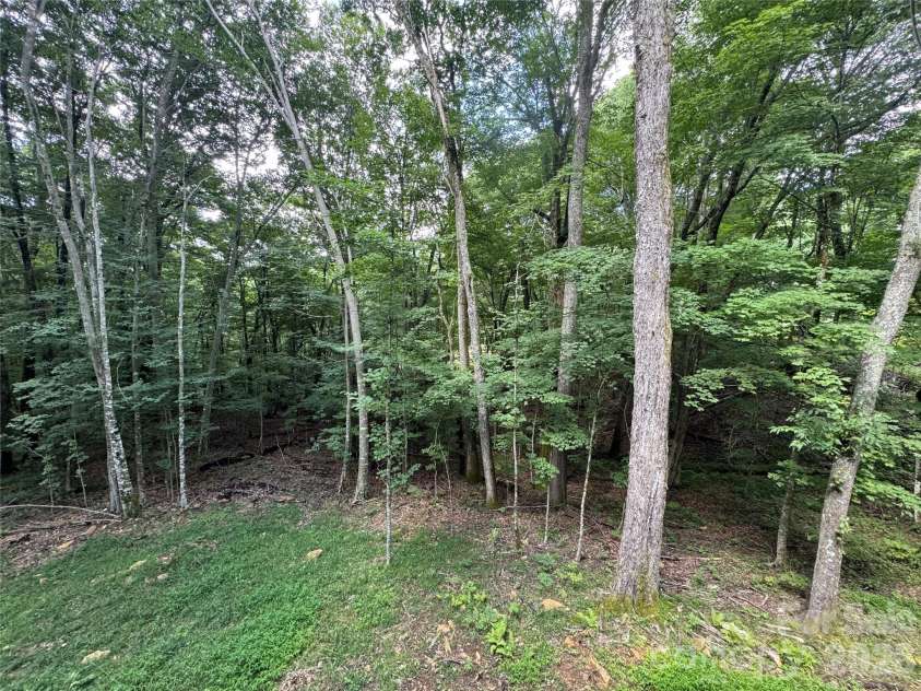 54 Hamlin Lane, Mars Hill, NC 28754.  MLS# CAR4413783, YatesRealty ID 43718. Wooded Setting