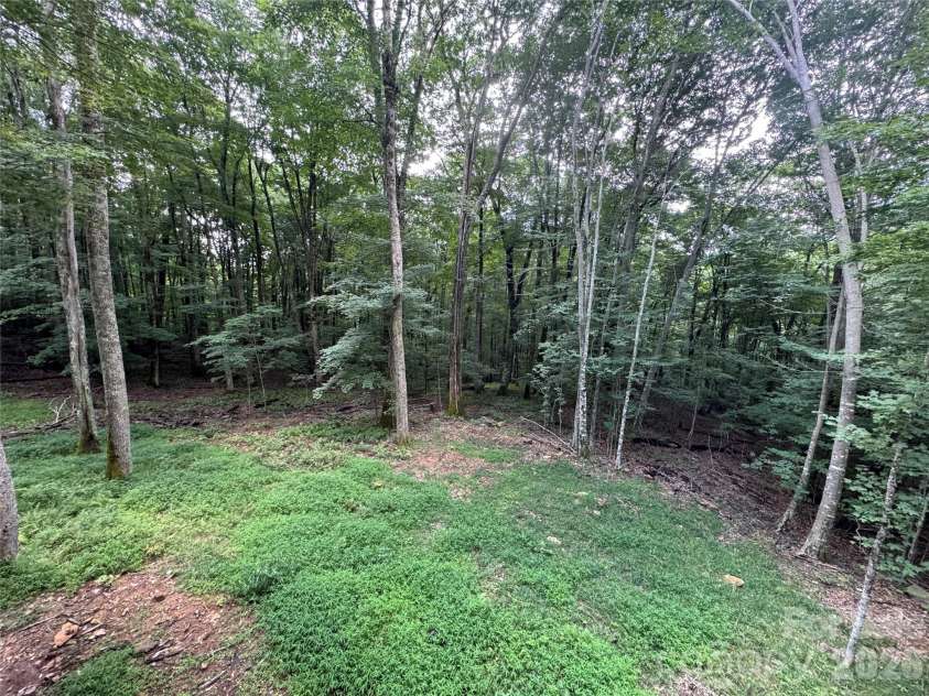 54 Hamlin Lane, Mars Hill, NC 28754.  MLS# CAR4413783, YatesRealty ID 43718. Wooded Setting