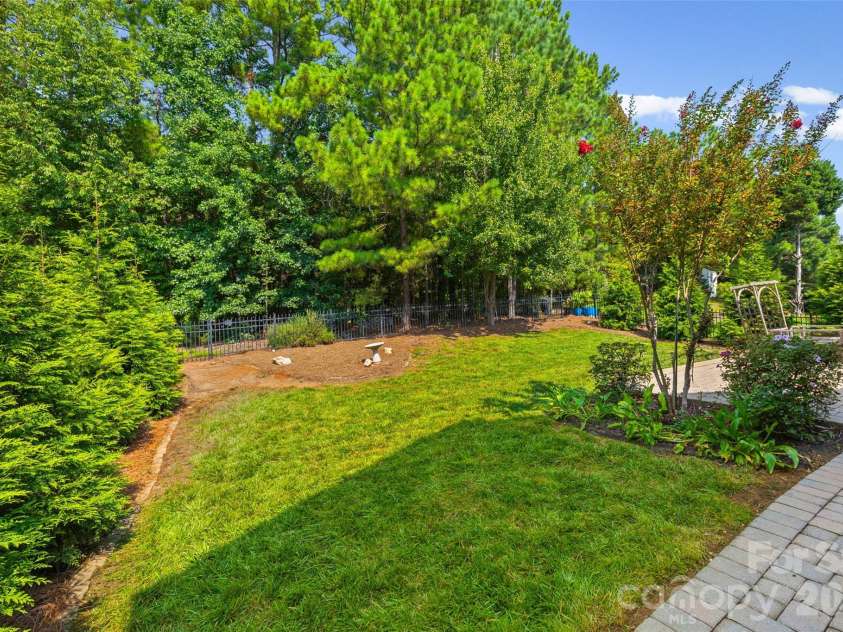9513 Seamill Road, Charlotte, NC 28278.  MLS# CAR4408705, YatesRealty ID 43794. Privacy with your own pear tree