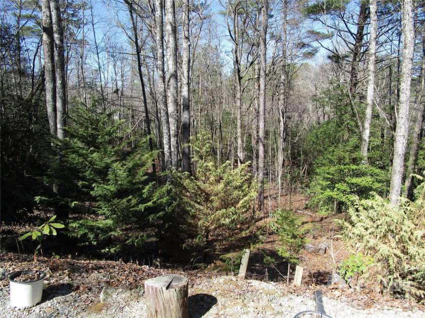 116 Minerva Lane, Sapphire, NC 28774.  MLS# CAR4237813, YatesRealty ID 4384. 