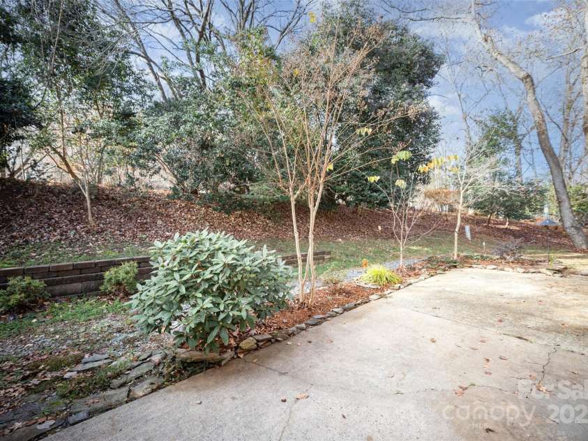 805 Sardis Cove Drive, Charlotte, NC 28270.  MLS# CAR4324694, YatesRealty ID 4388. Backyard